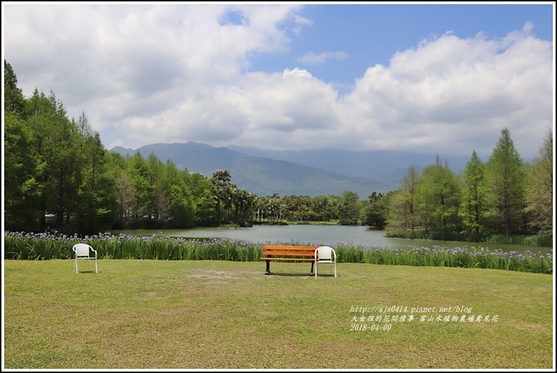 雲山水植物農場鳶尾花-2018-04-38.jpg