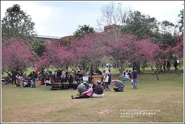 暨大櫻花季-2018-02-01.jpg