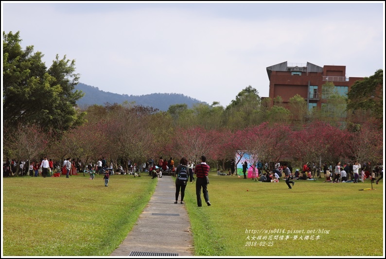 暨大櫻花季-2018-02-22.jpg