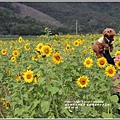 瑞穗鐵道向日葵花海-2018-04-05.jpg