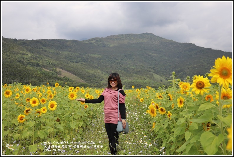 瑞穗鐵道向日葵花海-2018-04-11.jpg