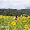 瑞穗鐵道向日葵花海-2018-04-13.jpg