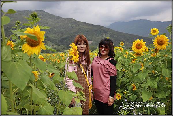 瑞穗鐵道向日葵花海-2018-04-19.jpg