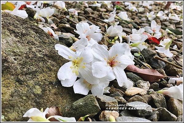 瑞穗虎頭山步道-2018-04-02.jpg