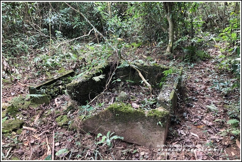 瑞穗虎頭山步道(爬山記)-2018-04-10.jpg