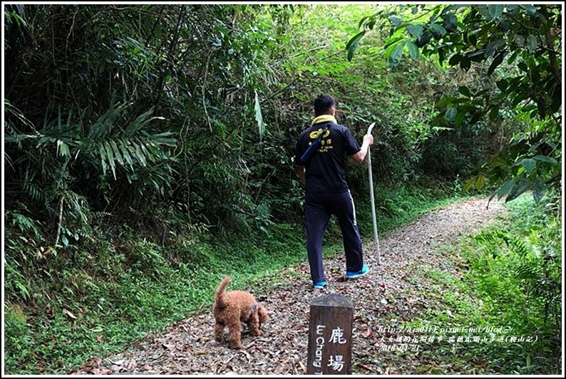 瑞穗虎頭山步道(爬山記)-2018-04-27.jpg