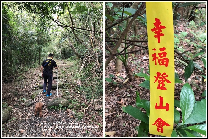 瑞穗虎頭山步道(爬山記)-2018-04-32.jpg