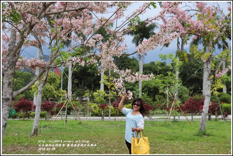 鹿鳴溫泉酒店花旗木-2018-04-05.jpg