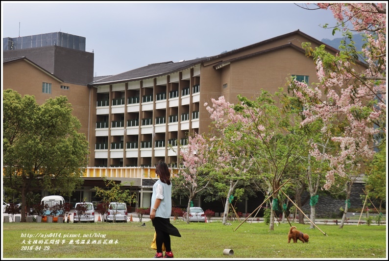 鹿鳴溫泉酒店花旗木-2018-04-29.jpg