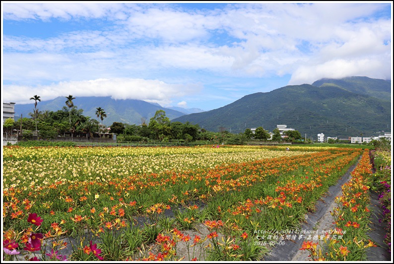 嘉德萱草園-2018-05-05.jpg