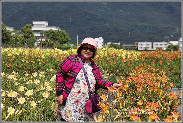 嘉德萱草園-2018-05-19.jpg