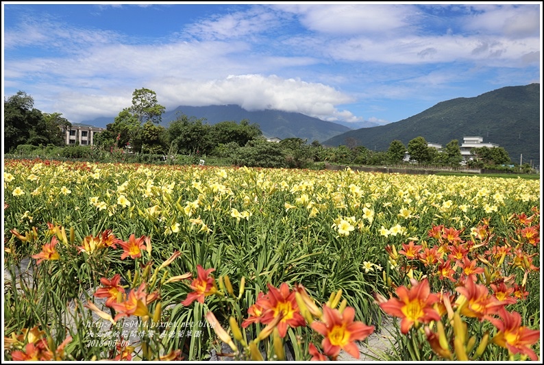 嘉德萱草園-2018-05-20.jpg