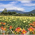 嘉德萱草園-2018-05-20.jpg