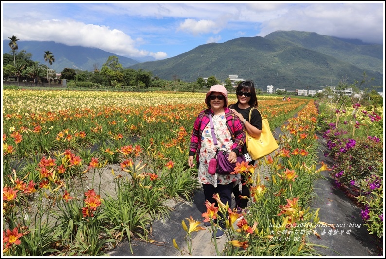 嘉德萱草園-2018-05-29.jpg