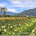 嘉德萱草園-2018-05-32.jpg