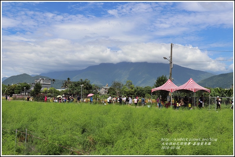 嘉德萱草園-2018-05-41.jpg