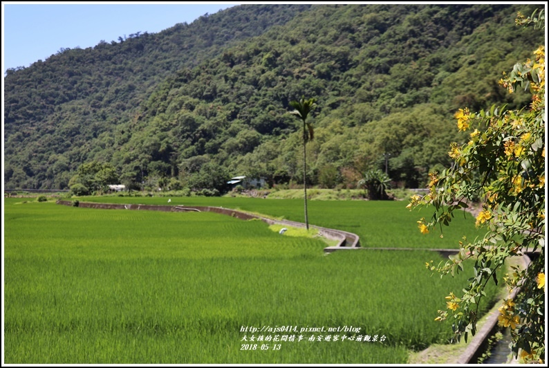 南安遊客中心觀景台稻田-2018-05-02.jpg