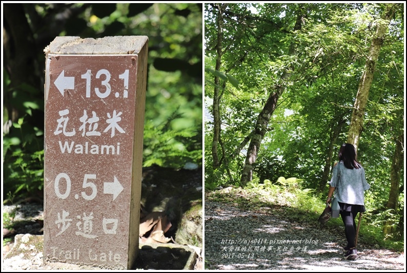 瓦拉米步道-2018-05-06.jpg