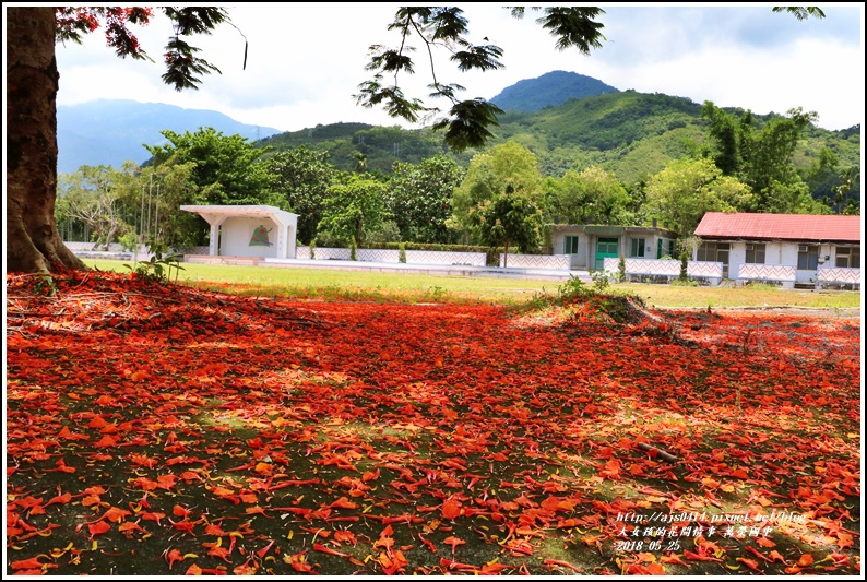 萬榮國中鳳凰木-2018-05-14.jpg