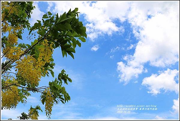 萬榮河堤阿勃勒-2018-06-05.jpg