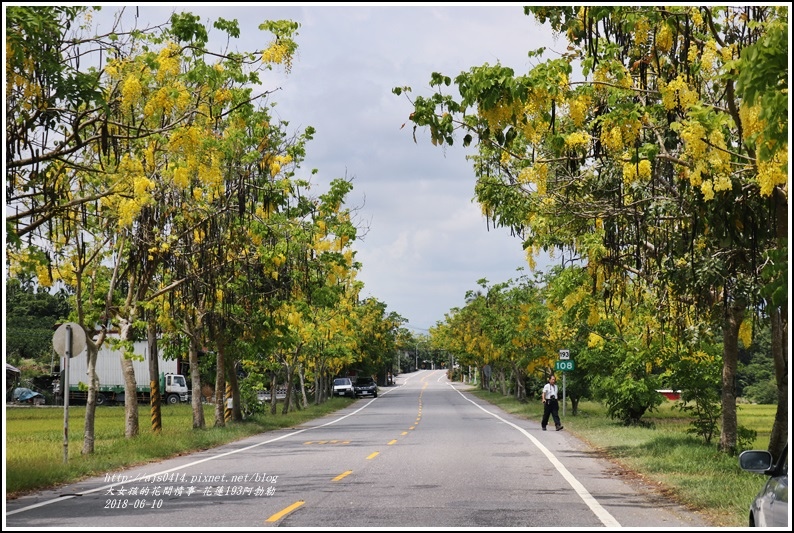 花蓮193阿勃勒-2018-06-01.jpg 花蓮193阿勃勒-2018-06-01.jpg