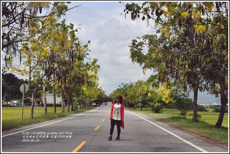 花蓮193阿勃勒-2018-06-08.jpg 花蓮193阿勃勒-2018-06-08.jpg