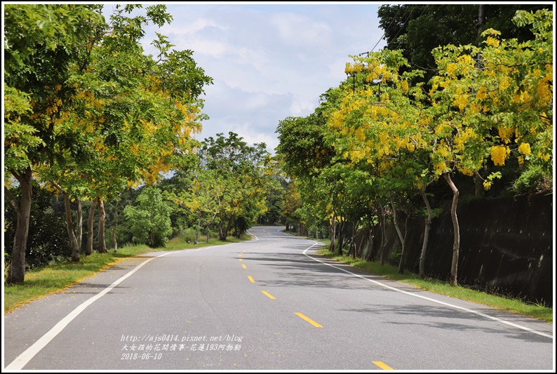 花蓮193阿勃勒-2018-06-11.jpg 花蓮193阿勃勒-2018-06-11.jpg