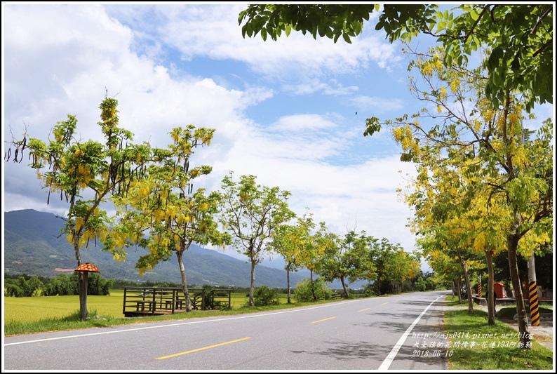 花蓮193阿勃勒-2018-06-15.jpg 花蓮193阿勃勒-2018-06-15.jpg