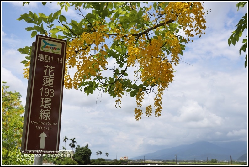 花蓮193阿勃勒-2018-06-16.jpg 花蓮193阿勃勒-2018-06-16.jpg
