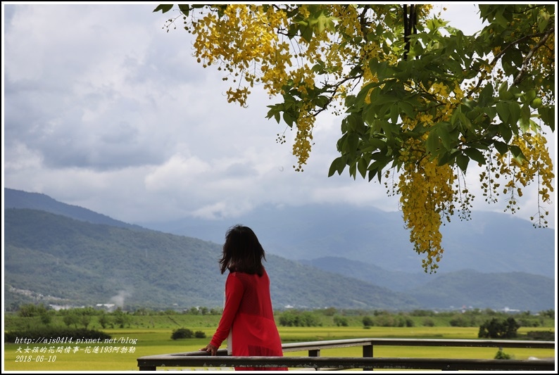 花蓮193阿勃勒-2018-06-19.jpg 花蓮193阿勃勒-2018-06-19.jpg