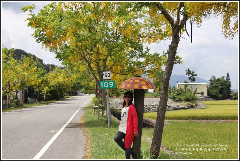 花蓮193阿勃勒-2018-06-20.jpg 花蓮193阿勃勒-2018-06-20.jpg