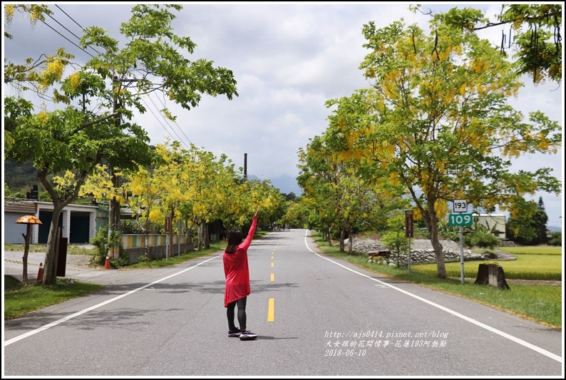 花蓮193阿勃勒-2018-06-21.jpg 花蓮193阿勃勒-2018-06-21.jpg