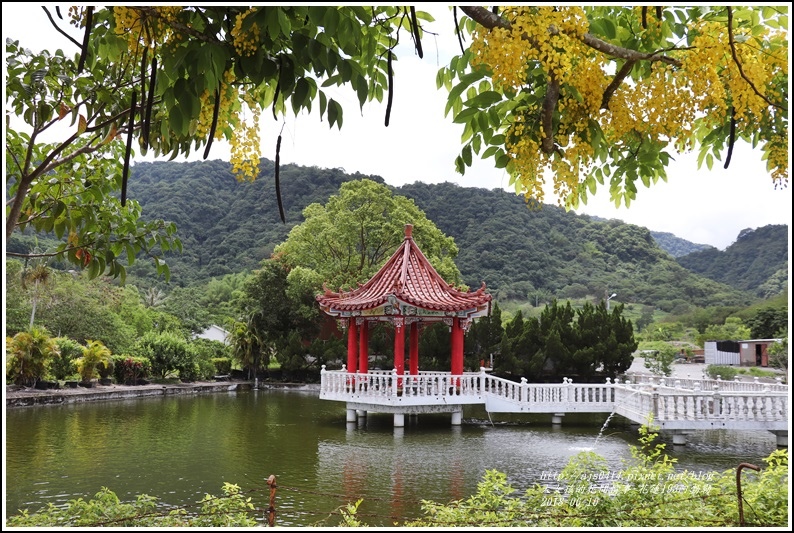 花蓮193阿勃勒-2018-06-24.jpg 花蓮193阿勃勒-2018-06-24.jpg