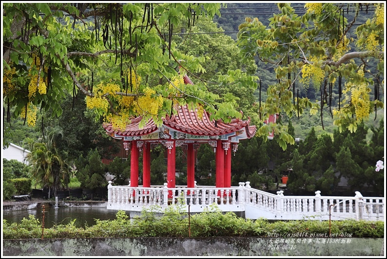 花蓮193阿勃勒-2018-06-29.jpg 花蓮193阿勃勒-2018-06-29.jpg