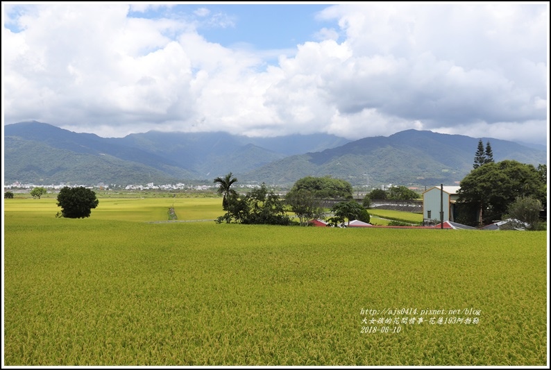 花蓮193阿勃勒-2018-06-30.jpg 花蓮193阿勃勒-2018-06-30.jpg