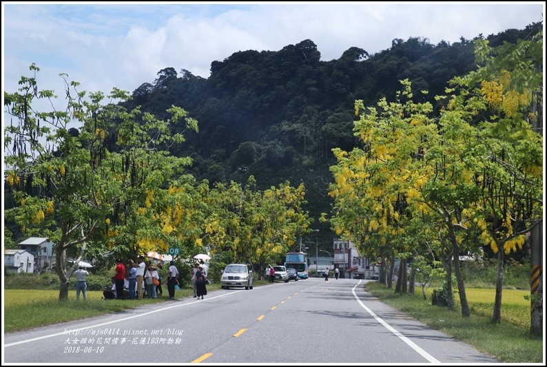 花蓮193阿勃勒-2018-06-34.jpg 花蓮193阿勃勒-2018-06-34.jpg