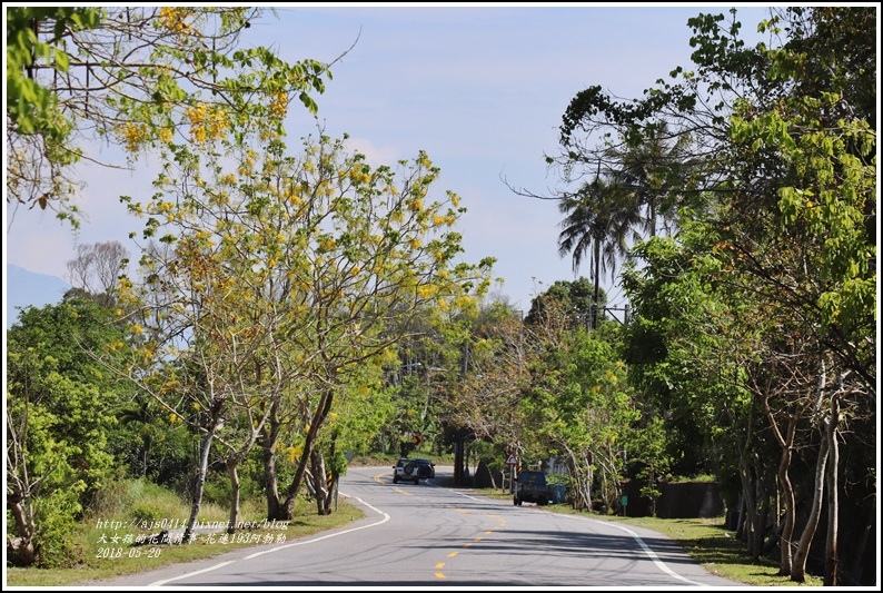 花蓮193阿勃勒-2018-06-40.jpg 花蓮193阿勃勒-2018-06-40.jpg