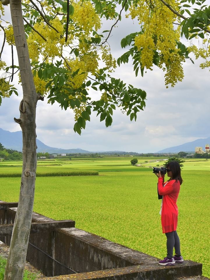 張本鍖分享.jpg 張本鍖分享.jpg