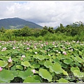 大富荷花田(平地森林南環道)-2018-06-01.jpg