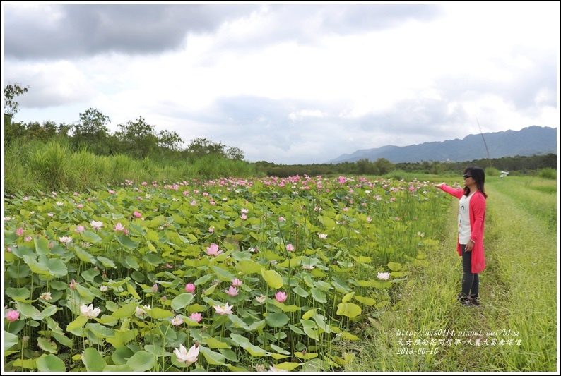 大富荷花田(平地森林南環道)-2018-06-10.jpg