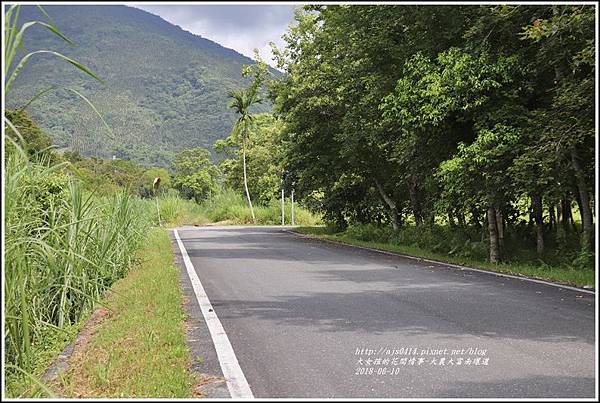 大富荷花田(平地森林南環道)-2018-06-26.jpg