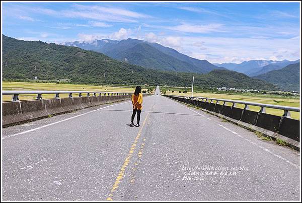 長富大橋(大地色塊)-2018-06-04.jpg