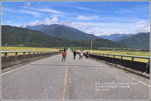 長富大橋(大地色塊)-2018-06-09.jpg