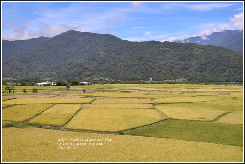 長富大橋(大地色塊)-2018-06-10.jpg