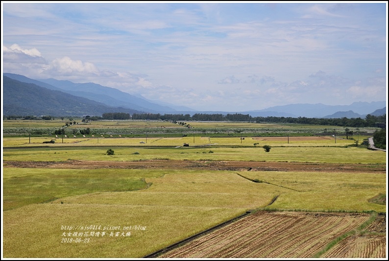 長富大橋(大地色塊)-2018-06-15.jpg