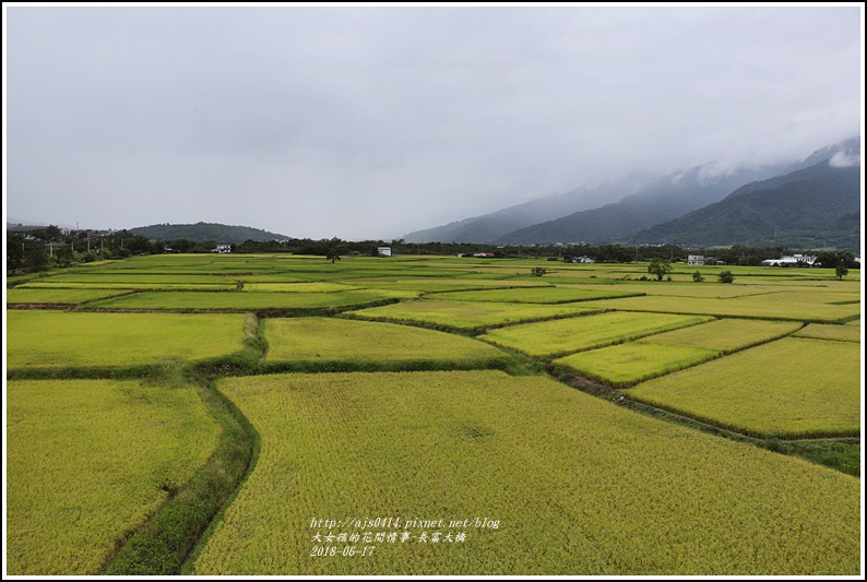 長富大橋(大地色塊)-2018-06-19.jpg