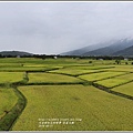 長富大橋(大地色塊)-2018-06-19.jpg