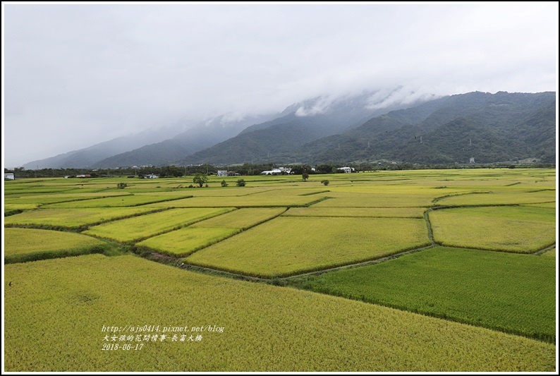 長富大橋(大地色塊)-2018-06-20.jpg