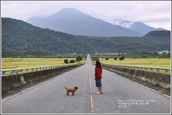 長富大橋(大地色塊)-2018-06-22.jpg