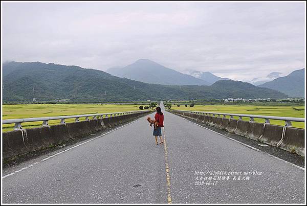 長富大橋(大地色塊)-2018-06-23.jpg